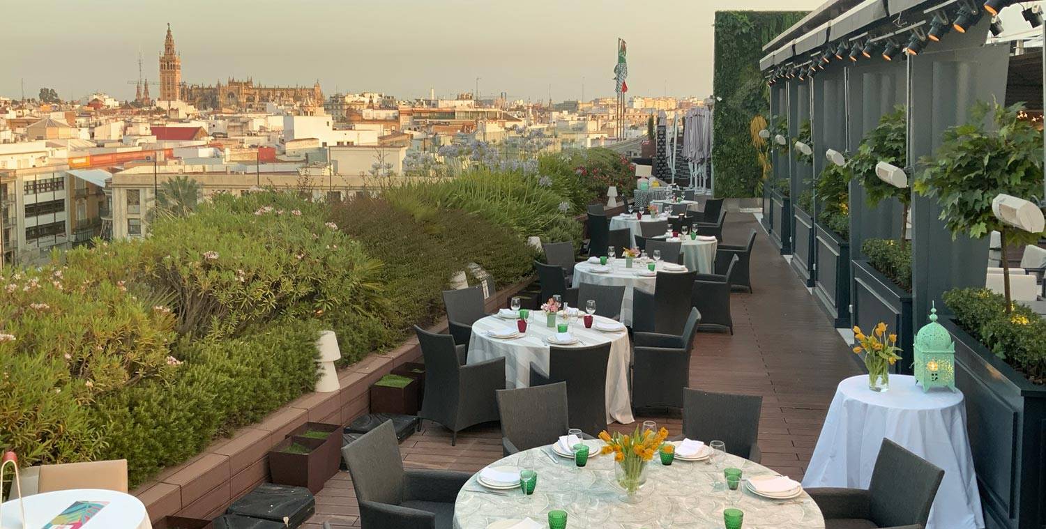 desayuno con vistas oasis
